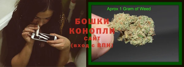 индика Абдулино